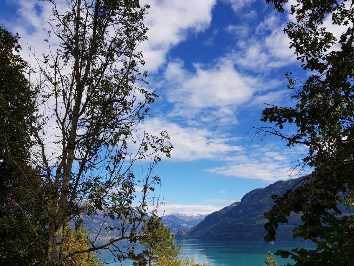 Ferienwohnung Selinda Niederried bei Interlaken Exteriér fotografie