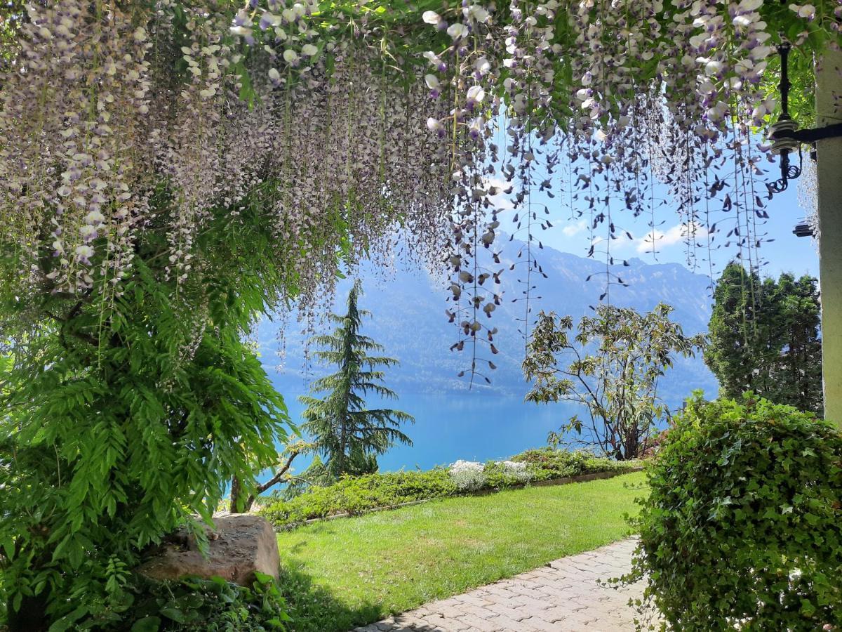 Ferienwohnung Selinda Niederried bei Interlaken Exteriér fotografie