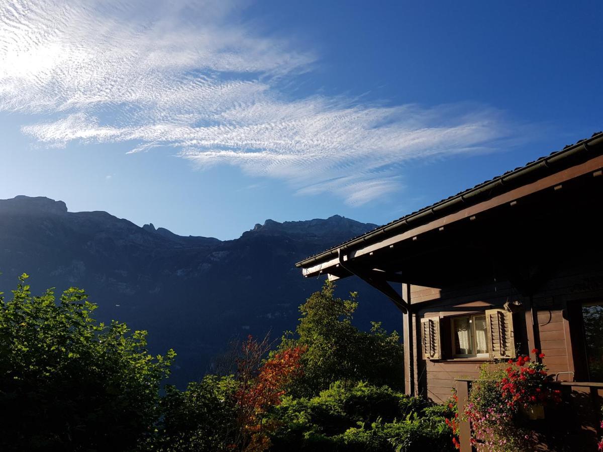 Ferienwohnung Selinda Niederried bei Interlaken Exteriér fotografie