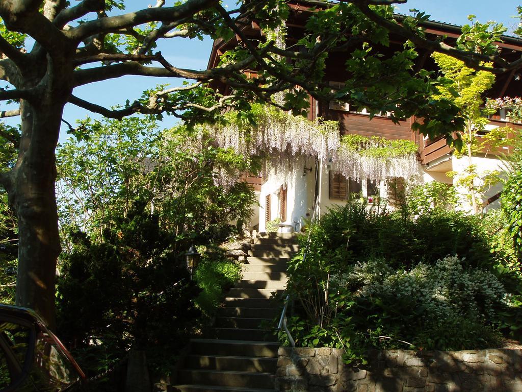 Ferienwohnung Selinda Niederried bei Interlaken Exteriér fotografie